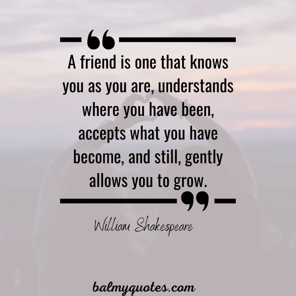 32 Famous Quote On Friends By Famous People » Balmy Quotes