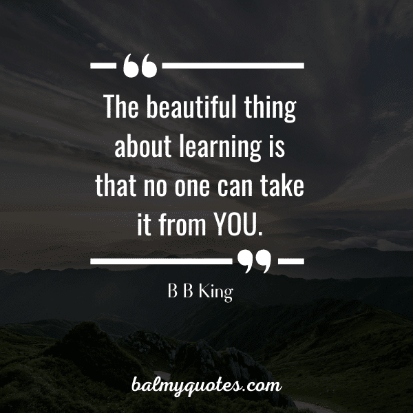 20 Famous Inspirational Quotes On Learning: Igniting the Love for ...