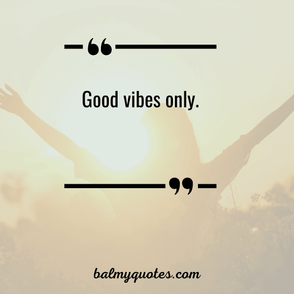 Positive Vibe Quotes To Lighten Your Day