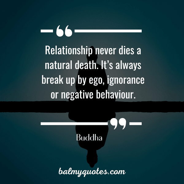 buddhist quotes on love and relationships