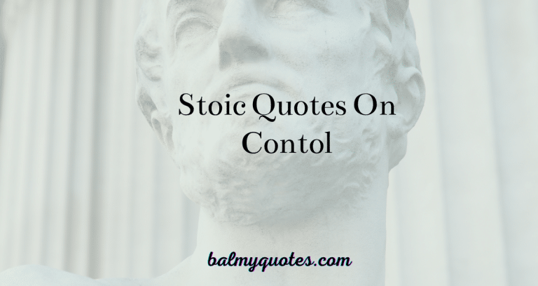 Stoic Quotes On Control