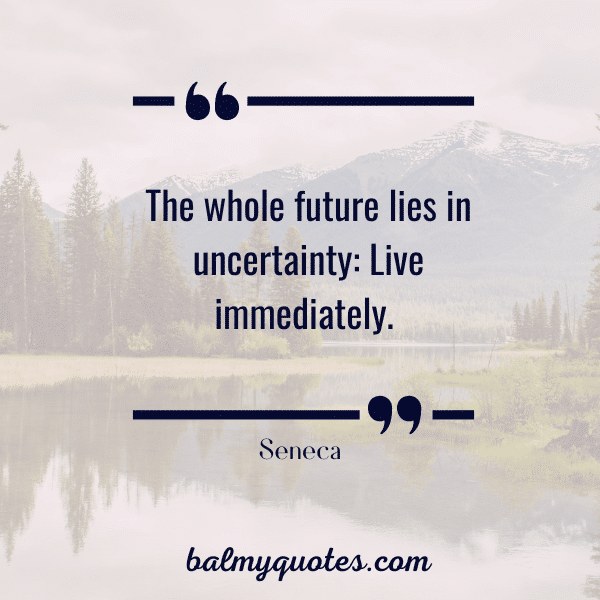 "The whole future lies in uncertainty: Live immediately."