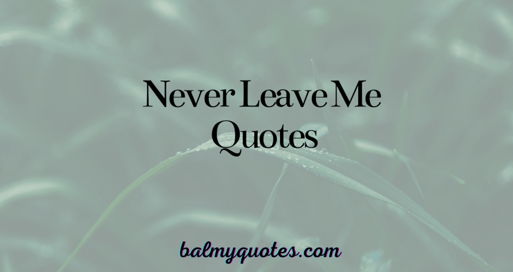 NEVER LEAVE ME QUOTES