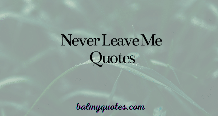 NEVER LEAVE ME QUOTES