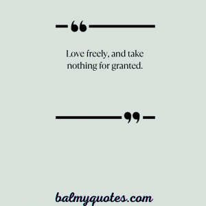 30+ Don't Take Me For Granted Quotes (Appreciate What You Have)