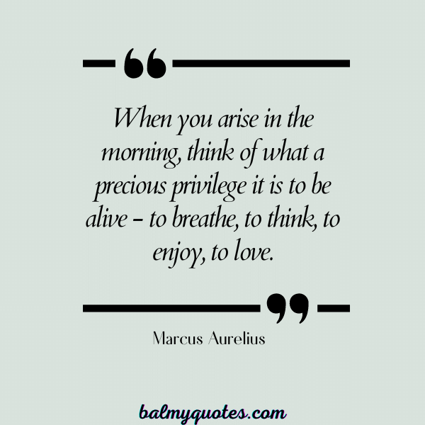 Marcus Aurelius - don't take life for granted quotes