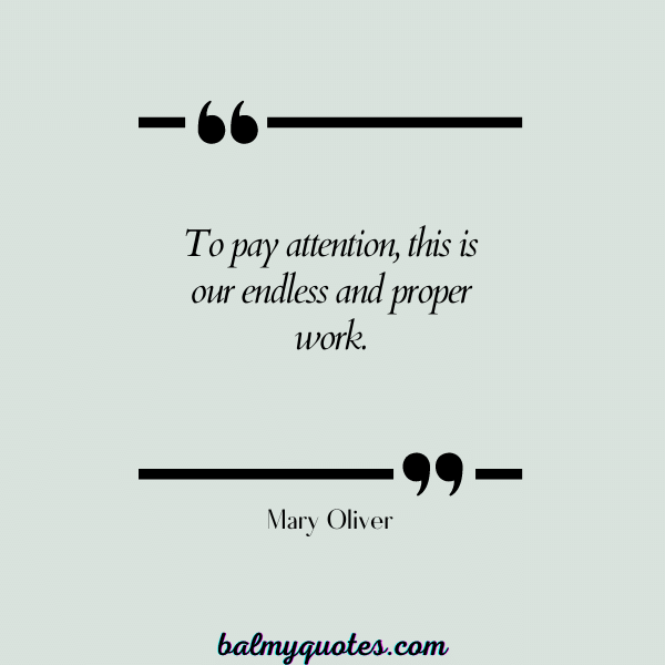 Mary Oliver - pay attention quotes