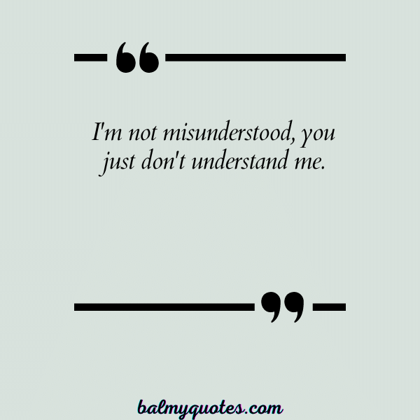 QUOTES about feeling misunderstood - 11