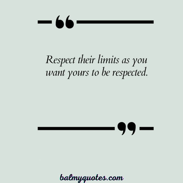 QUOTES about respecting boundaries - 20