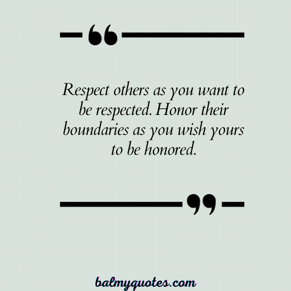 QUOTES about respecting boundaries -5