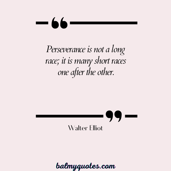reality check quotes - Walter Elliot