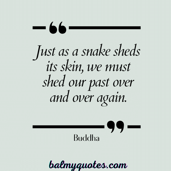 buddha quotes 2